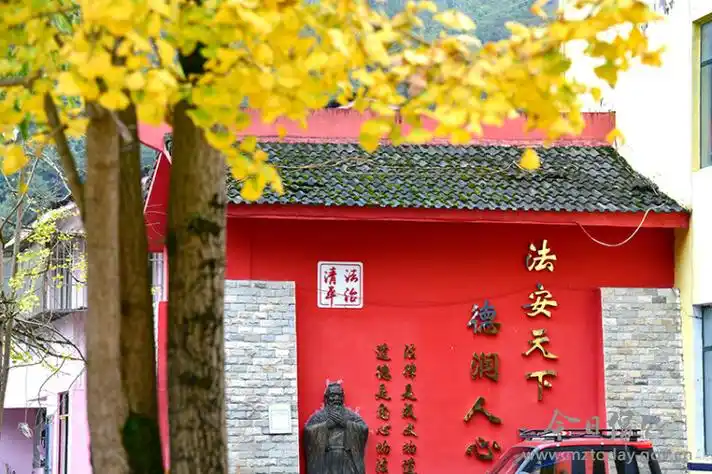 游绵竹清平镇银杏进入最佳观赏期