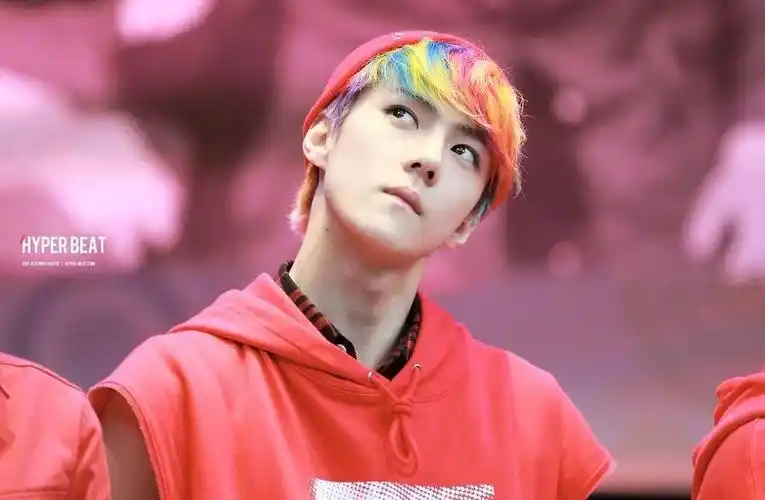 【吴世勋】回顾宝宝的彩虹头