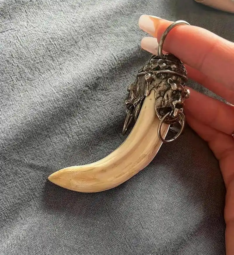 男朋友送给我的,他说这个是老虎的牙,挺值钱的