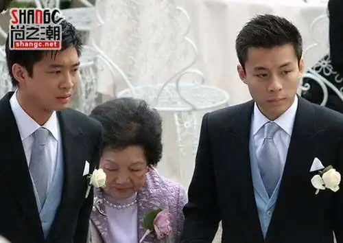 霍启刚弟弟霍启山霍启仁资料背景 身家长相不输哥哥霍启刚