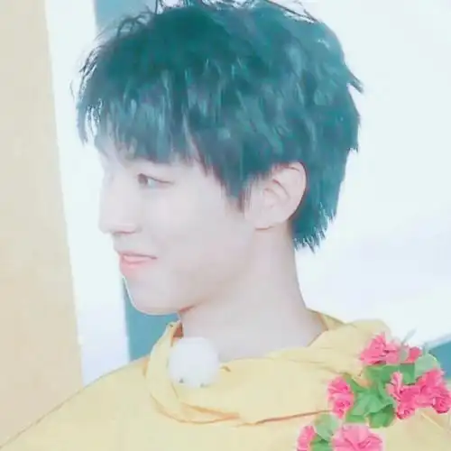 王俊凯男生头像爱豆头by姜甜软