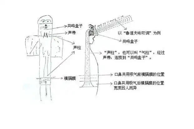 唱不好主要的原因还是没有找到气息的支点,气息不通畅,可能很多人看到