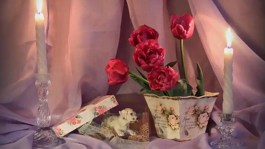 下载壁纸 1920x1080 全高清 红色的郁金香,蜡烛 桌面背景