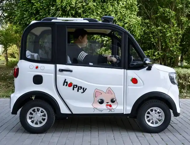 以上的2款电动小四轮车,虽然不属于一线大品牌,但还是有一定知名度的