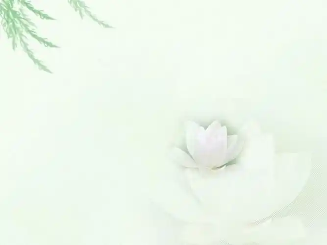 ppt唯美淡雅背景,高清图片-壁纸族