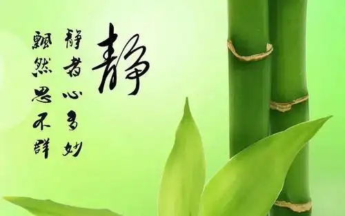 静字用于人名好不好,有哪些寓意,对人有什么影响?