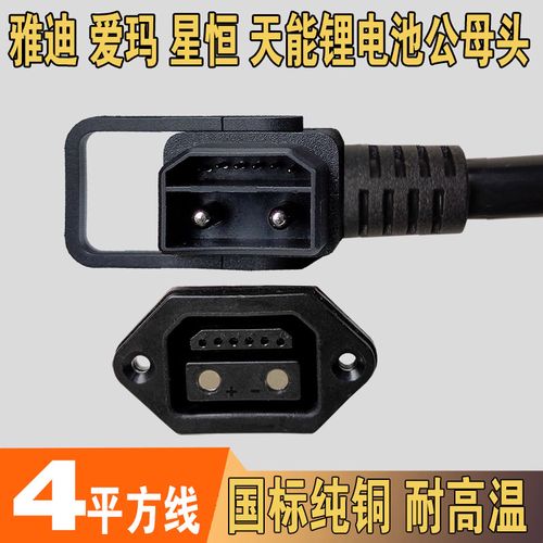 爱玛铁塔2 6星恒锂电池48v电动车充电器转换头充电口座插头电源线