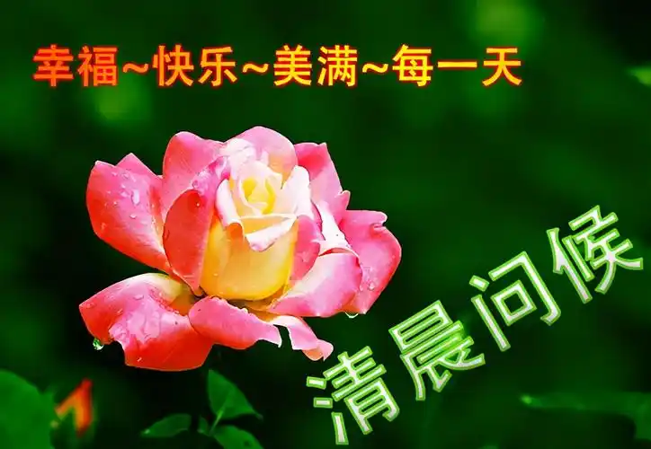 漂亮的早上好图片带字祝福语,早晨起来心情说说