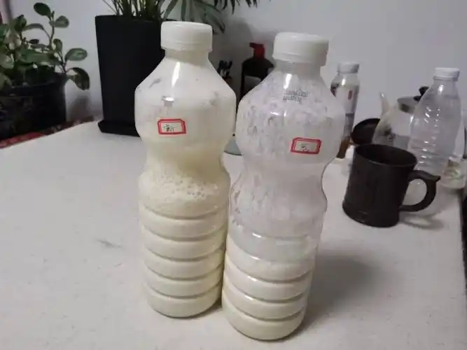 自然发酵之轻松喂养神奇的酵母菌11菌种