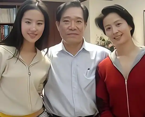 刘亦菲:成功女强人的独立之路