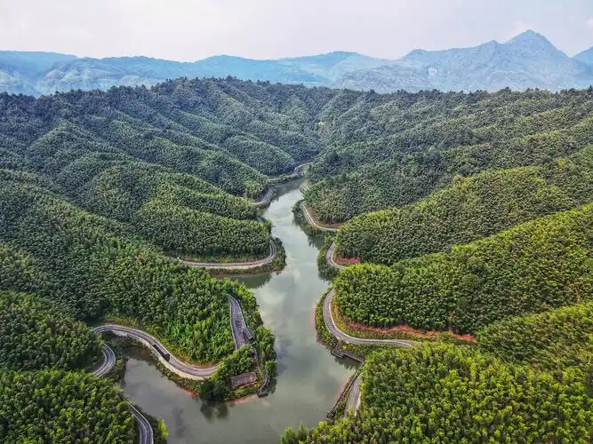 贵州赤水竹海国家森林公园