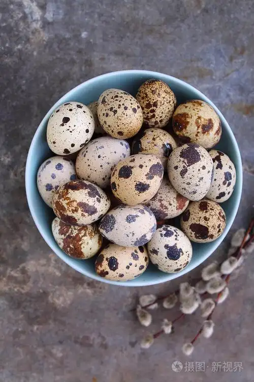 鹌鹑蛋在一个蓝色的杯子照片-正版商用图片1lbc42-摄图新视界