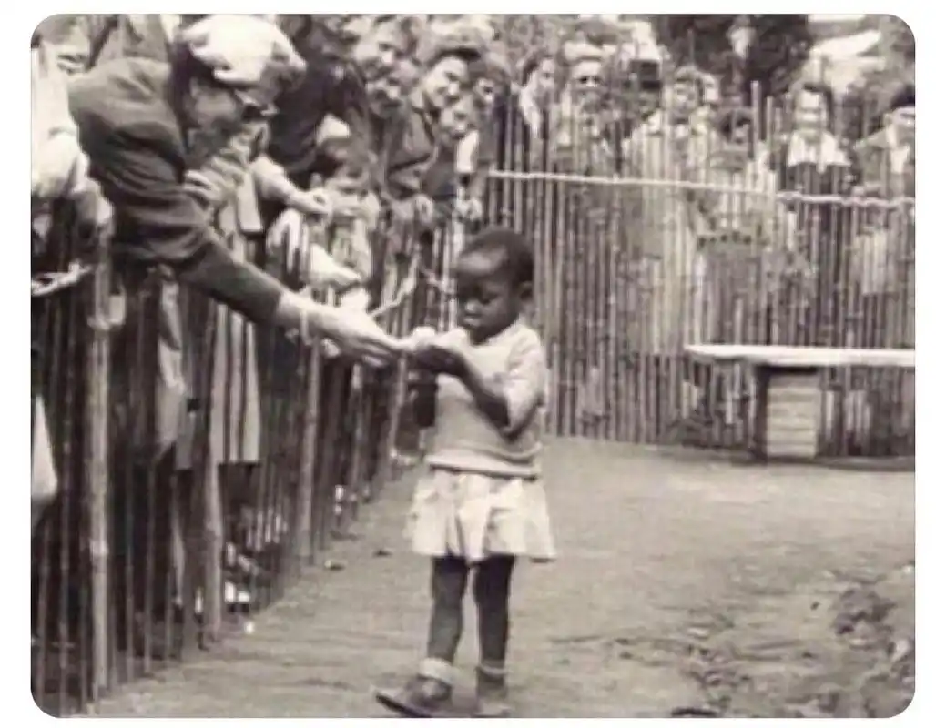 1958年在比利时,一名非洲女孩被当做猴子饲养在动物园里以吸引游客.