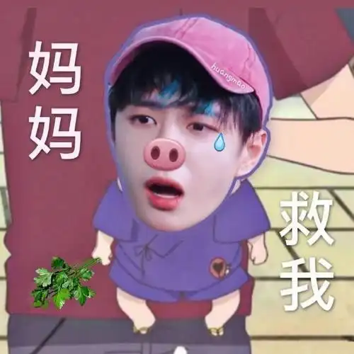 来一波王一博搞笑表情包分享出自mtjj们的神之p图