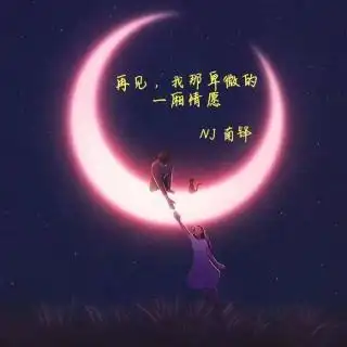 再见我那卑微的一厢情愿