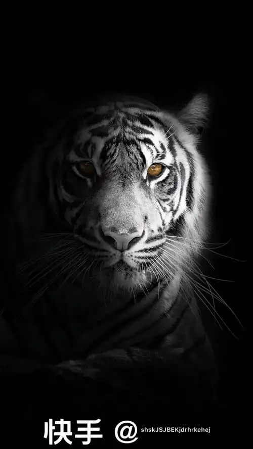 huanglijia的动态_keep