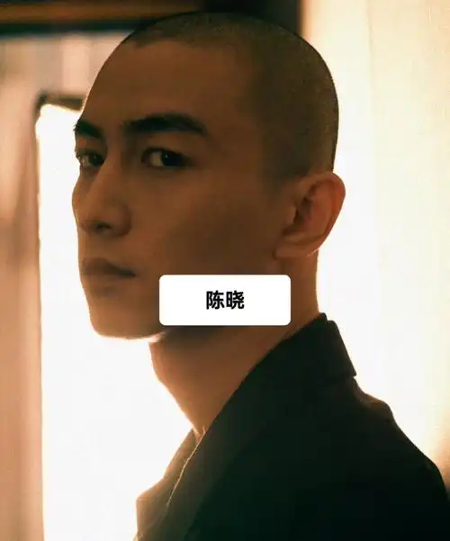 果然光头是最能检验帅哥颜值的,11位光头男星,哪个潇洒到了你?