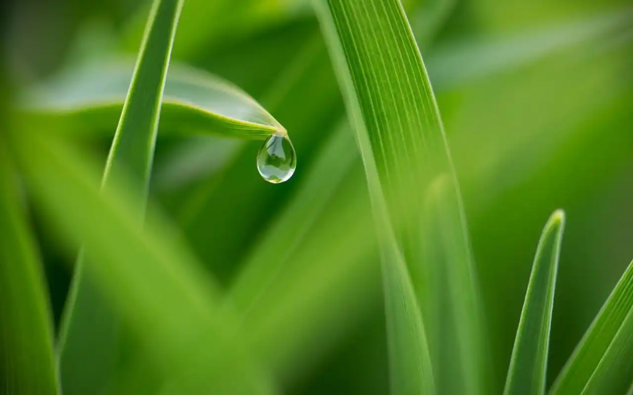 美桌网专注于电脑,手机桌面壁纸,免费提供最好最清晰的壁纸图片下载.
