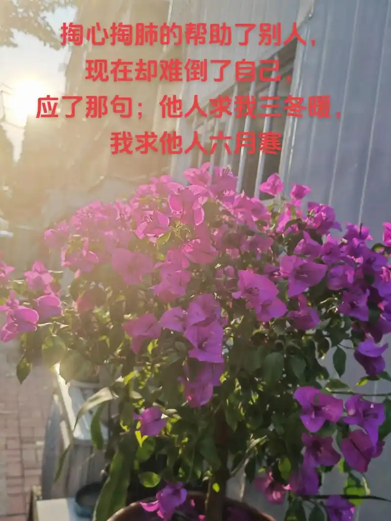 以后别太善良了,时间久了,你身边的人就会觉得