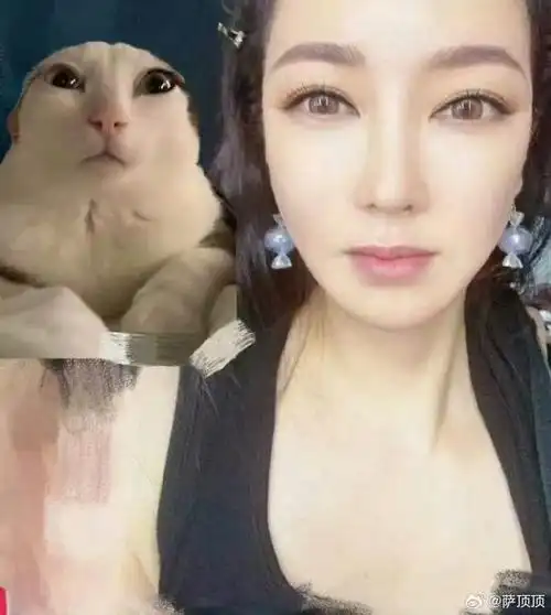 萨顶顶大眼喵星人表情包##萨顶顶8g冲浪