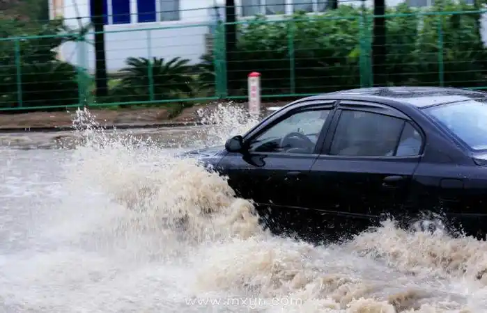 梦见下暴雨发大水