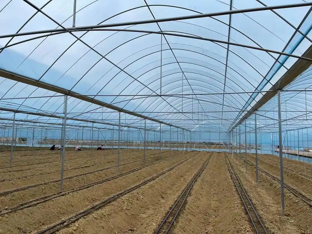 简易圆顶花卉大棚完工#温室大棚安装设计 - 抖音