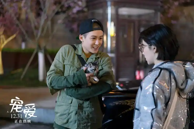 看完徐峥这部《宠爱》,明白了猫和狗在人类心里的不同地位!