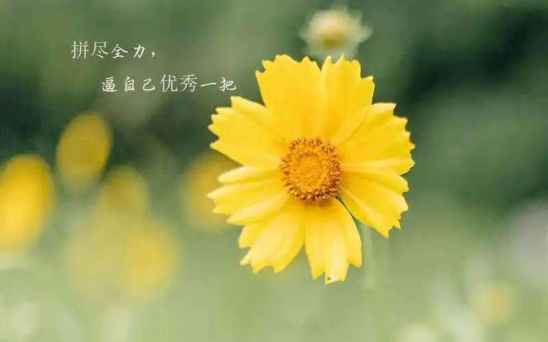 经典励志说说致自己带字配图