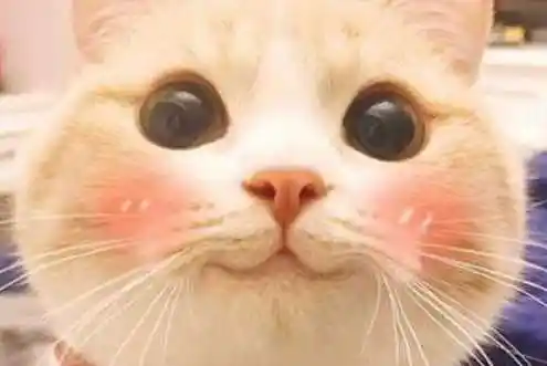 女生网名可爱仙气女生网名可爱仙气女生网名可爱仙气