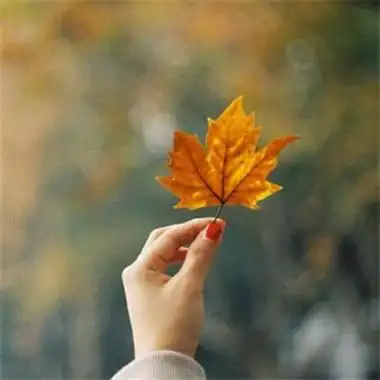 简单干净好看的风景头像(24张)