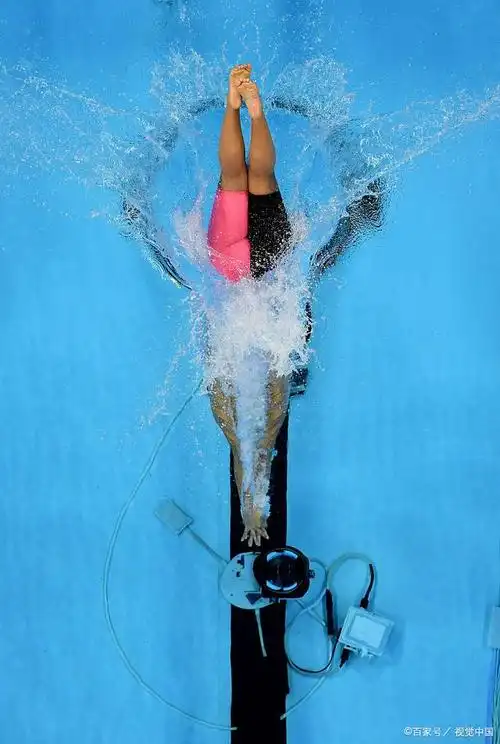 游泳跳发动作的要领是什么?