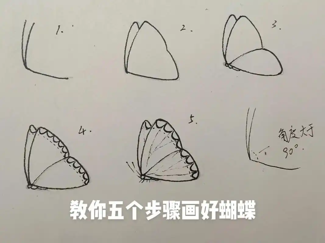手绘蝴蝶线稿步骤.五个步骤画好侧飞蝴蝶 这样画一点也不难#手 - 抖音