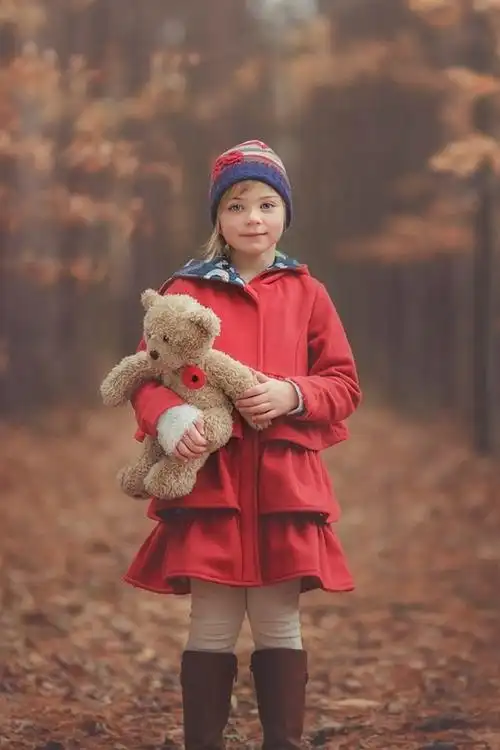 红色衣裳小女孩,孩子,玩具熊,秋天,森林
