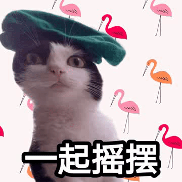 文字表情包gif喵星人gif萌宠gif可爱gif鬼畜gif