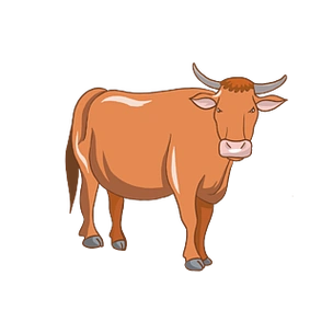 看向前方的黄牛插画