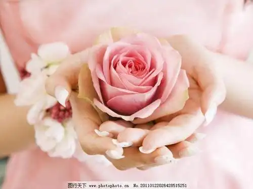 醒了唤起万物生灵用最温柔的语句我手捧莲花岩石露出湖面风不再狂啸