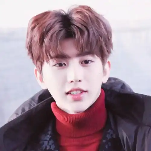 蔡徐坤头像顺毛小坤