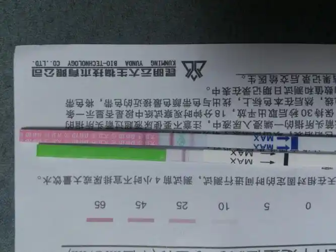 麻烦亲们都来帮我看下,这是不是到了排卵日了?