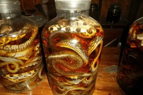 男子用眼镜蛇泡成药酒, 不料数月后他却遭到蛇的报复