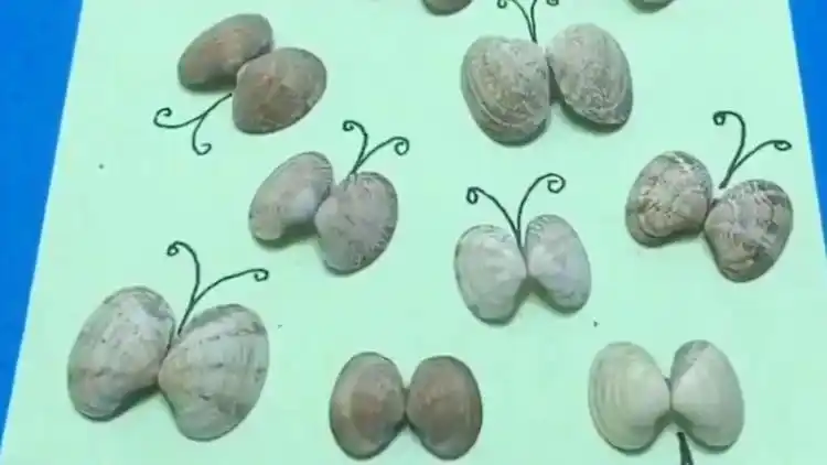 小姐姐用花蛤给孩子做手工,老师以为是蜜蜂,同学都羡慕不已!