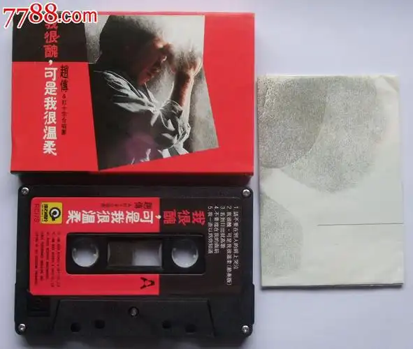 赵传-我很丑可是我很温柔