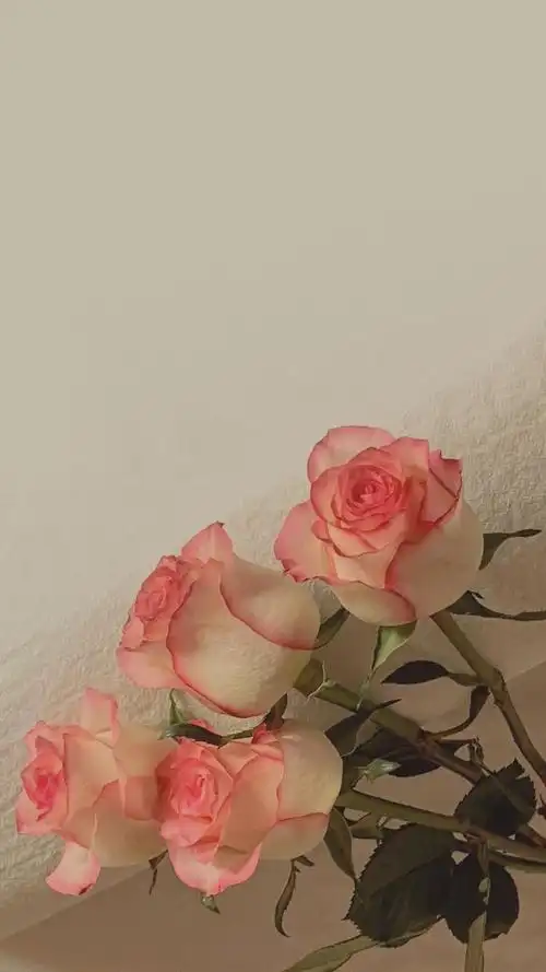 ins风简约温柔生活随景手机壁纸第二辑