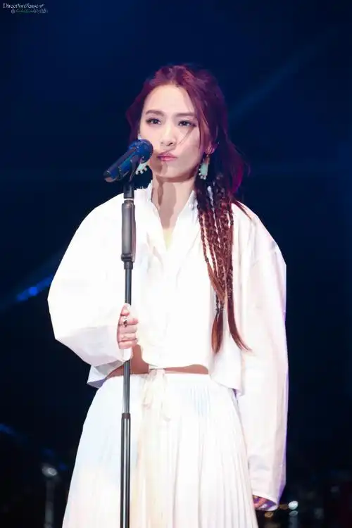 田馥甄 音乐节