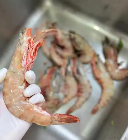 超级简单方便又美味1.大虾开背2.