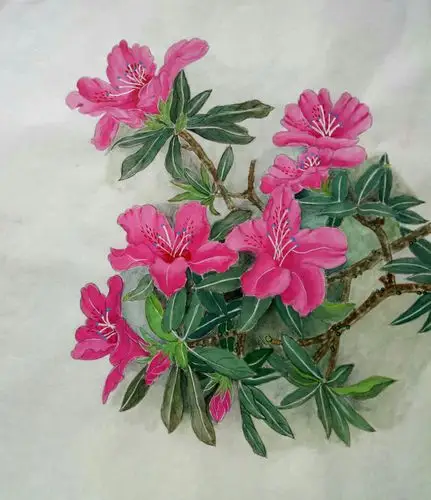 临摹工笔画习作 ( 二 )