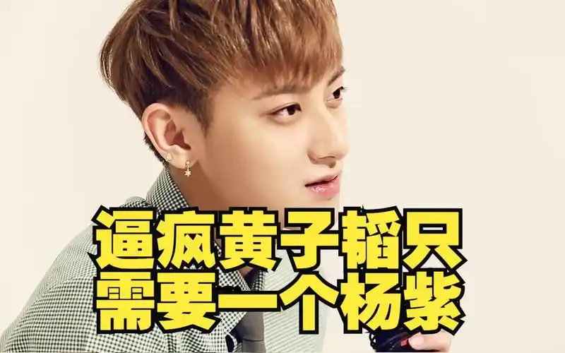 逼疯黄子韬只需要一个杨紫