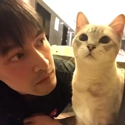 分享一下我喜欢的头像