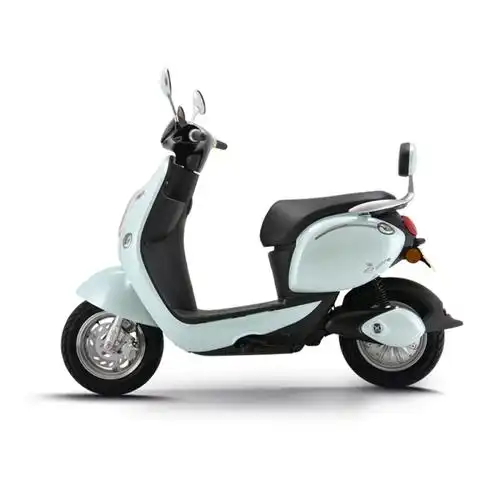 新日 电动车 卡布奇 新款锂电池电瓶车电动车男女代步小龟王车报价_参