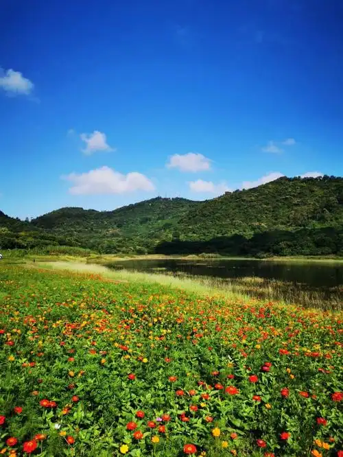 广州南沙黄山鲁森林公园202210国庆长假