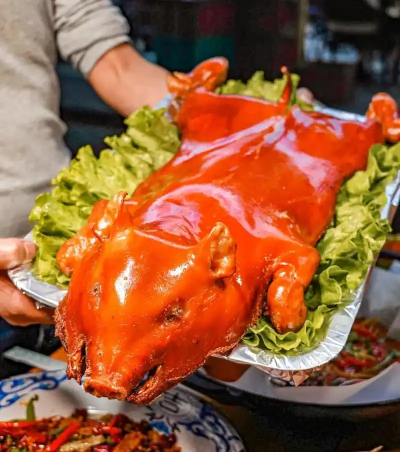 所谓乳猪,就是指六周左右大,还未断奶的小猪.